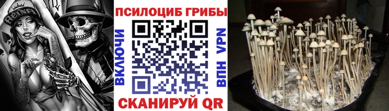 Псилоцибиновые грибы мухоморы  Купить закладки  Яранск 